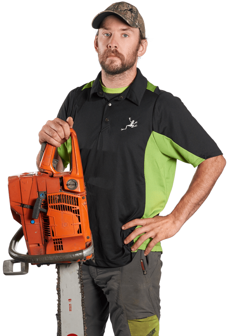 About Arborwood Tree Service