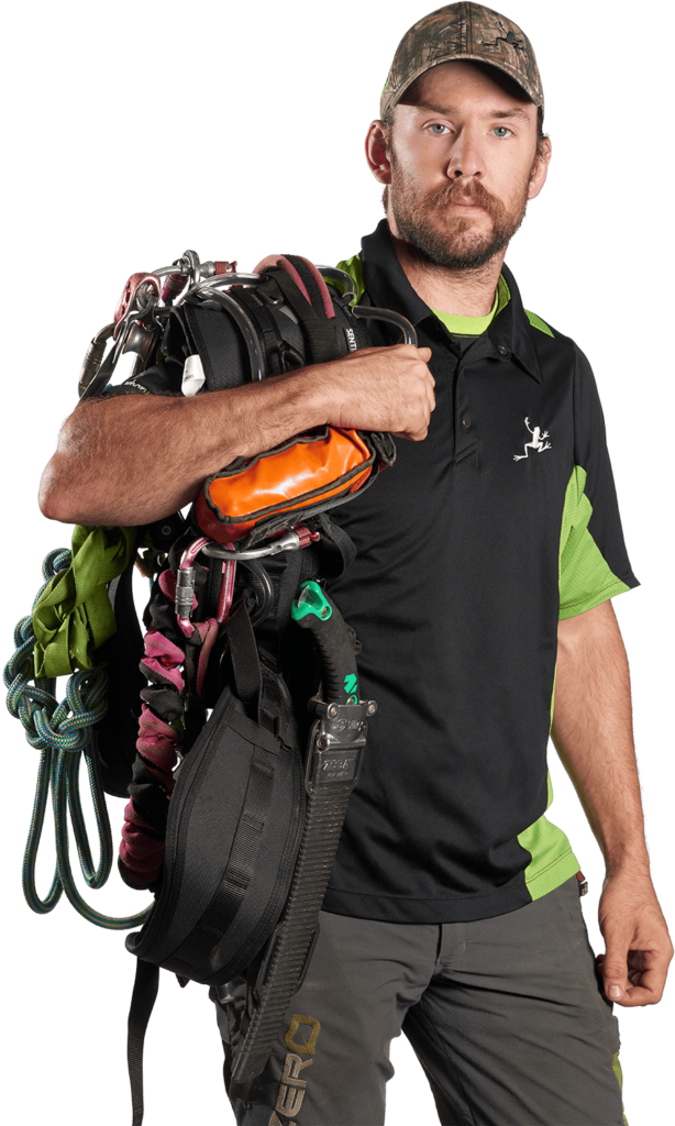 Arborwood Tree Service Inc photo 5