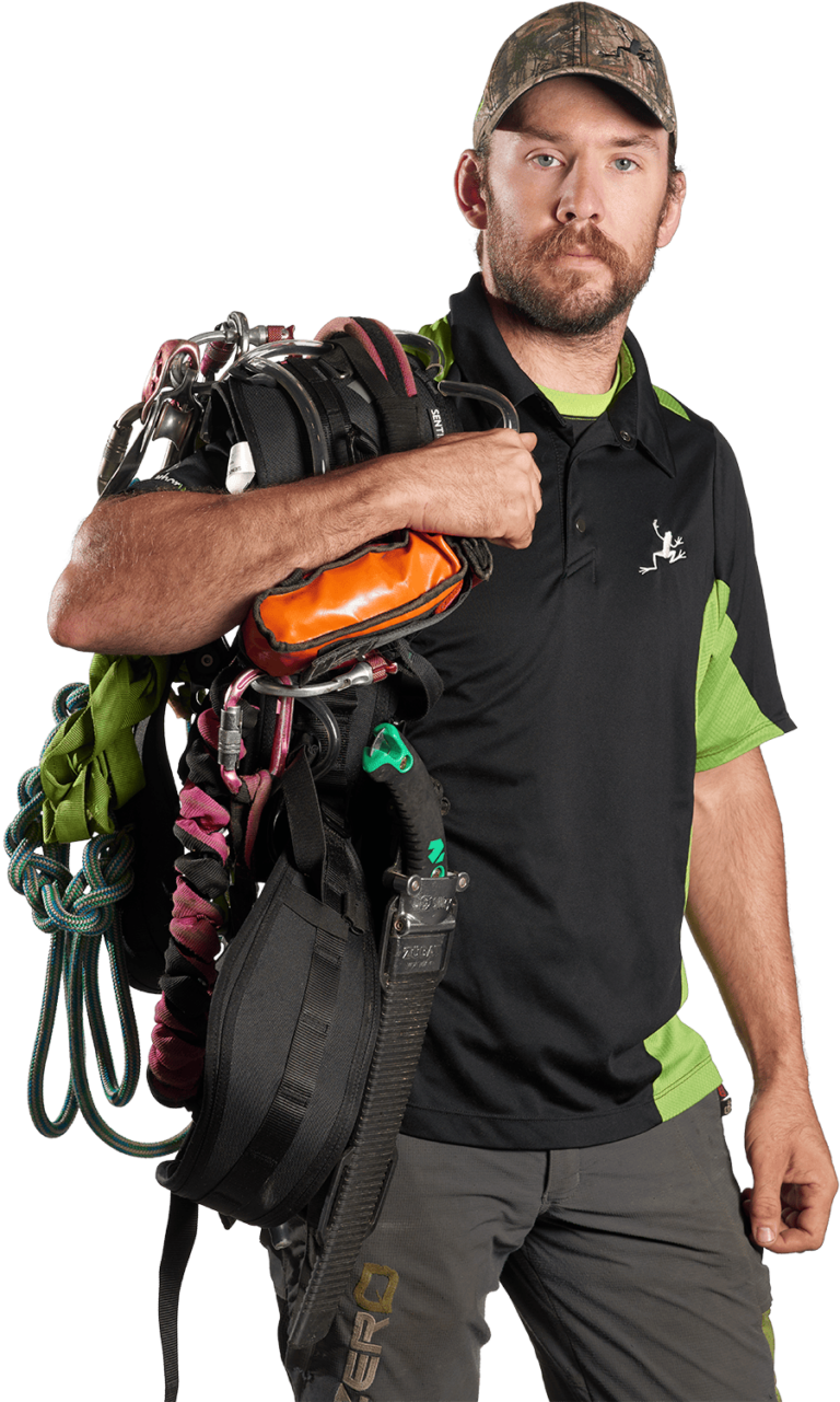 Arborwood Tree Service Inc photo 6