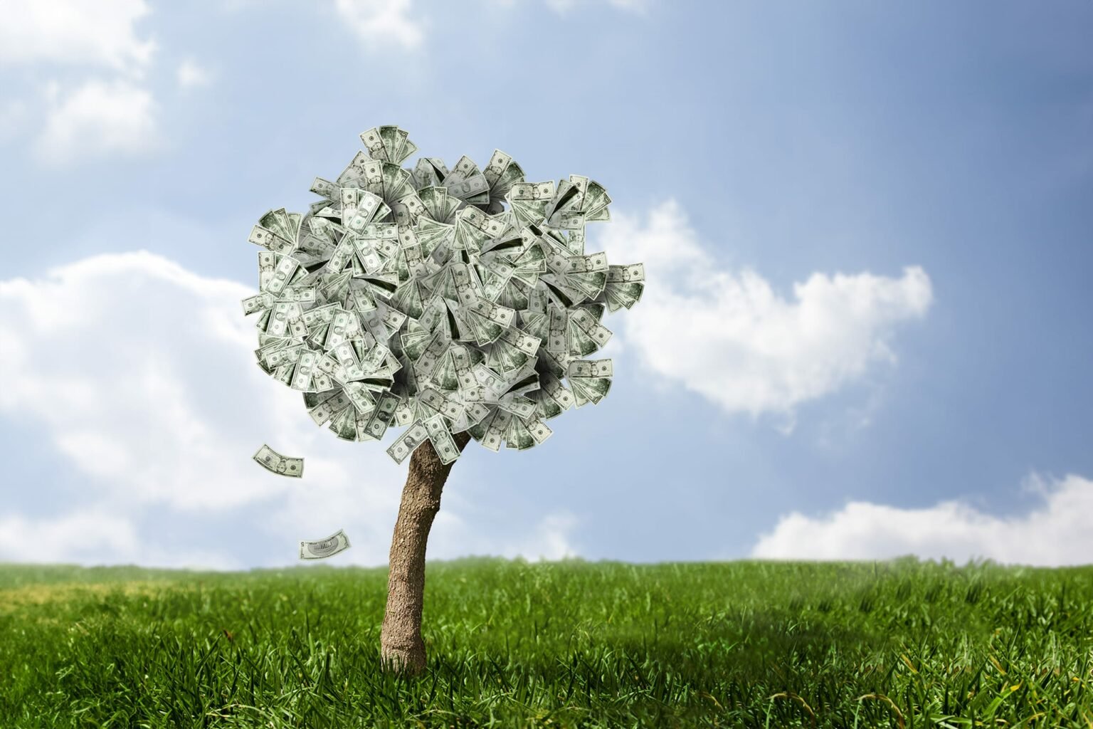 What are your trees worth? Arborwood Tree Service