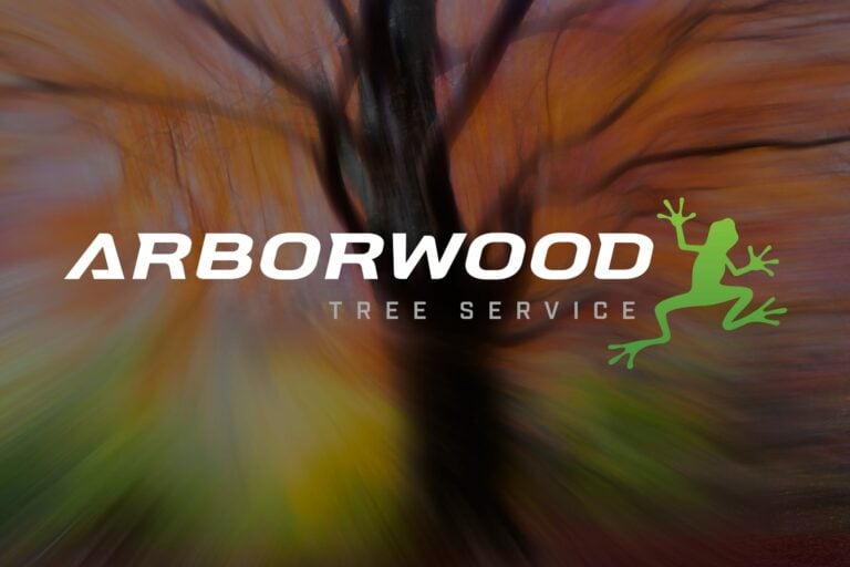 Arborwood logo atop abstract tree background