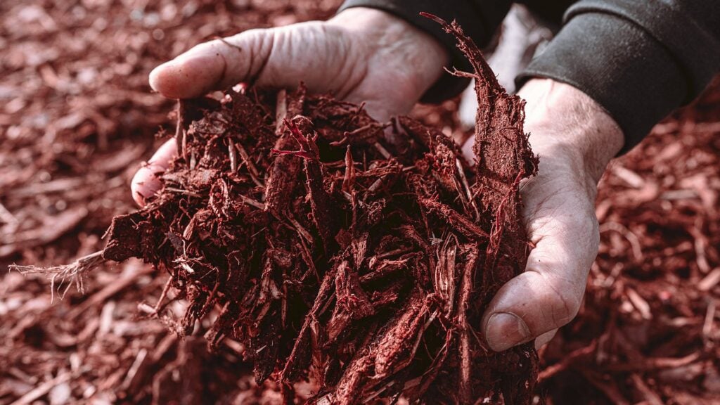 Mulch with a warm, cedar-like look with a subtle hint of amber.