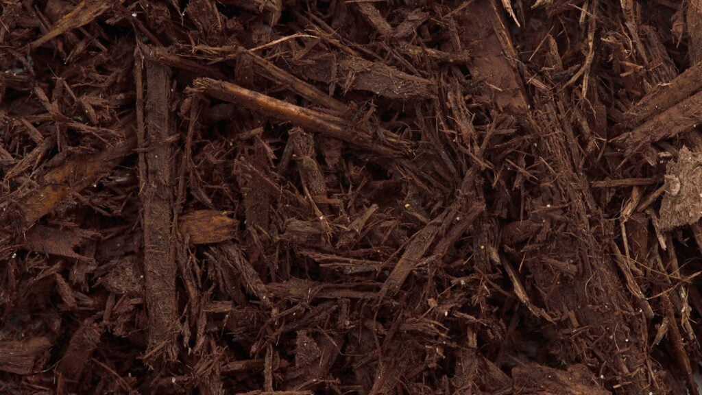 Close up of dark brown (chocolate) mulch for gardens around Niagara Region.