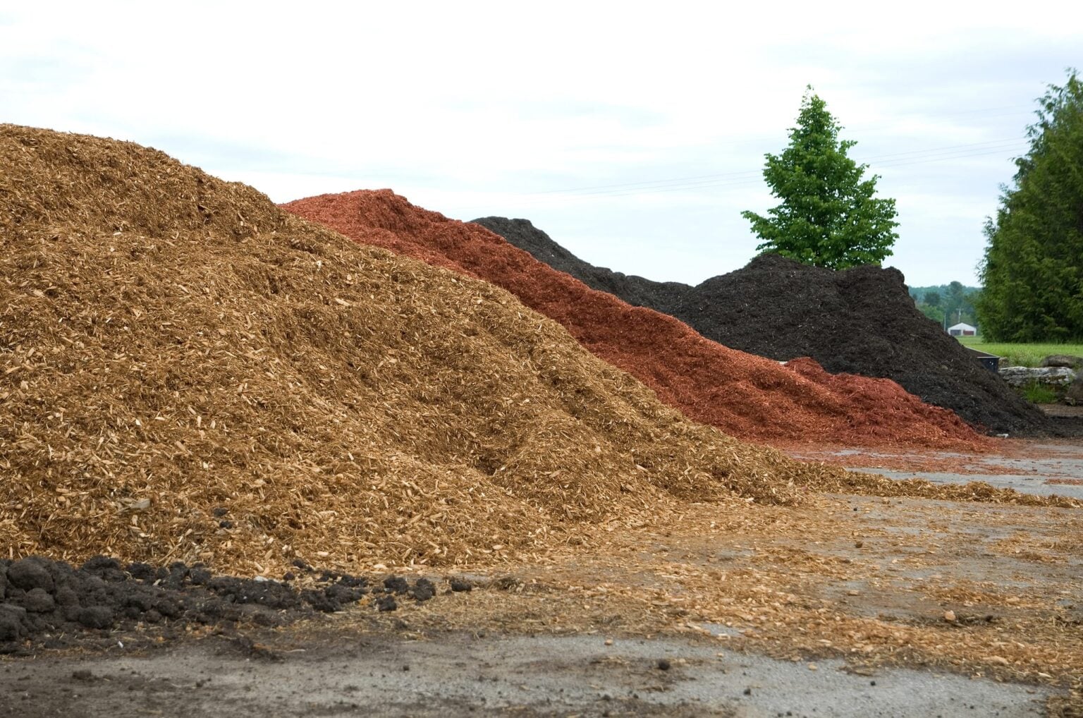 Three different colours of mulch in large piles at a storage facility.