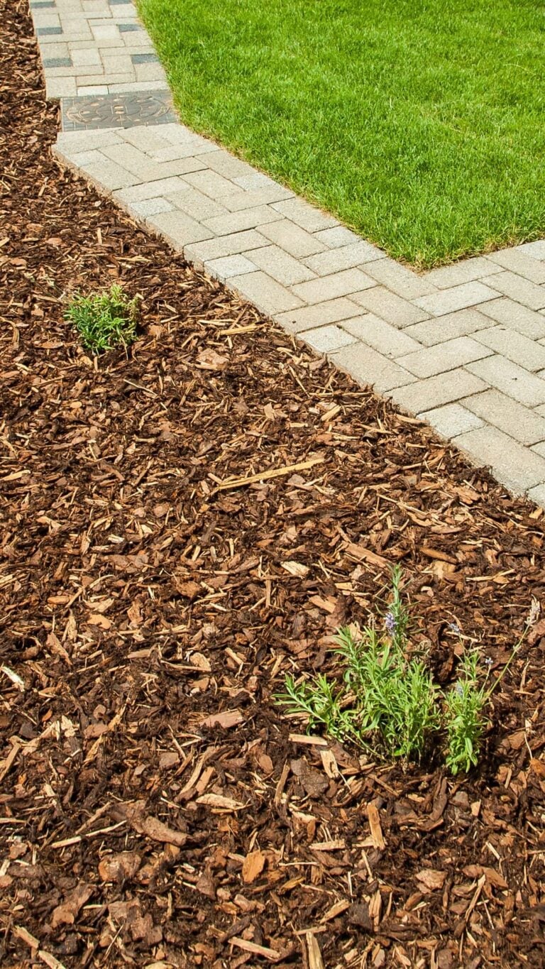 Premium natural mulch in a suburban backyard in Niagara Region on a sunny summer day